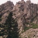 ОткликнойГребень