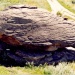 ОзероАллаки,останцы