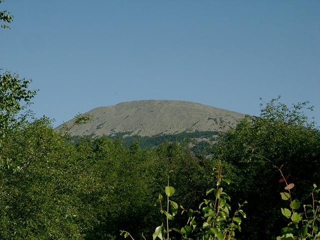 Шелом