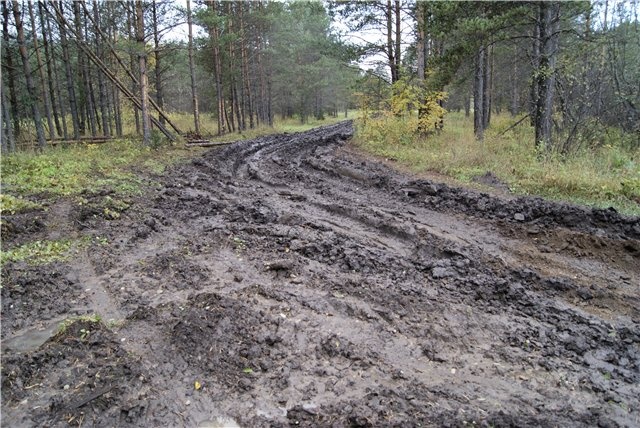 Дорога на кордон Миселя.