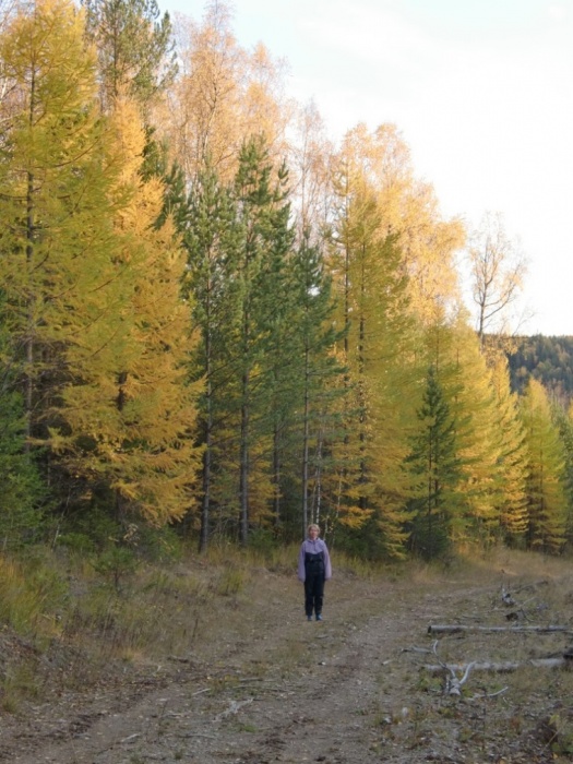 Золотая осень . 29.09.2012