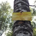 граница нацпарка Зюраткуль", с восточной стороны Увана